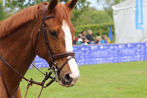 jumping-international-mantes-la-jolie-2017